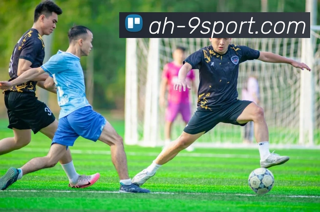 九游体育官网APP 封面图